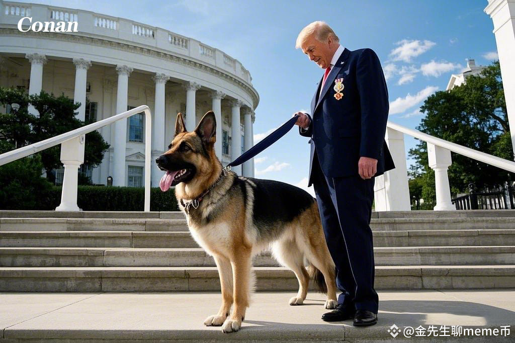 Trump's dogs have also come out! Do you say $ TRUMP President Conan and Musk's dog Doge $ Doge?
As Trump returned to the White House, a new legend is born on the Solana blockchain -that is $ conan!
It is the hero of the United States, and it is the only hero dog that Trump has met and commended in the White House!

President Trump once said, 'Letting the United States great again, we have not only witnessed his return, but today, $ Conan, which symbolizes strength, courage, and determination on the Solana chain!

Fight! Intersection
Fight! Intersection Intersection
Fight! Intersection Intersection Intersection #Trump market value breakthrough #How to get out of the market after taking office? #: My 2024 pit father's time #Bitcoin market focus