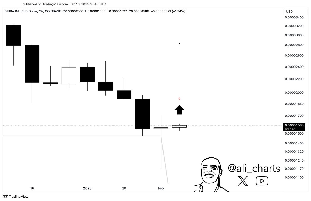 SHIBUSD flashes TD Sequential buy signal on weekly candle chart