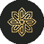 coin-icon