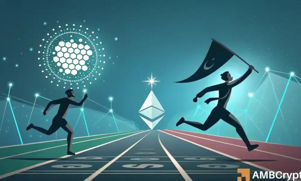 http://img.528btc.com.cn/pro/2025-04-30/img/1746018545669c79hx575156349h2826c7a4571j46jh2.jpg