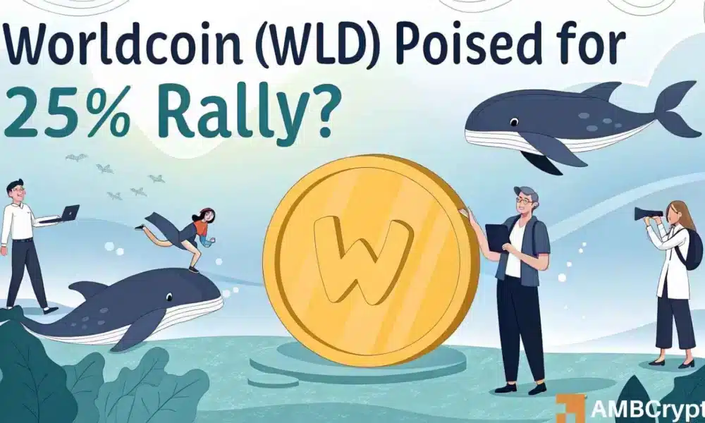 http://img.528btc.com.cn/pro/2025-05-01/img/1746036543921441b0x5bh1793ha32842ha2b07ba15jh.jpg