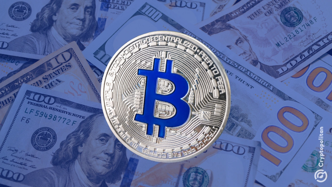 http://img.528btc.com.cn/pro/2025-05-01/img/174608115248047b2j46bch05chh944cba0639a07j156.jpg