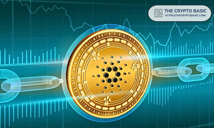 http://img.528btc.com.cn/pro/2025-05-01/img/17460890629110633b22999xh35xbhx8a986663a7939h.jpg
