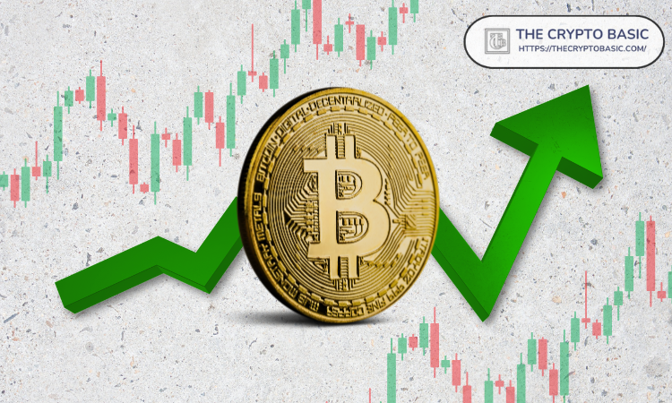 http://img.528btc.com.cn/pro/2025-05-01/img/174609986144272a03710hh2637jb8495c3h98hhhh646.jpg