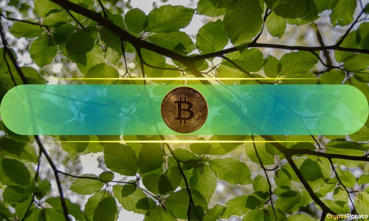 http://img.528btc.com.cn/pro/2025-05-01/img/17461066548278xa5cj6cx360j7512b9x8b9x68993a50.jpg