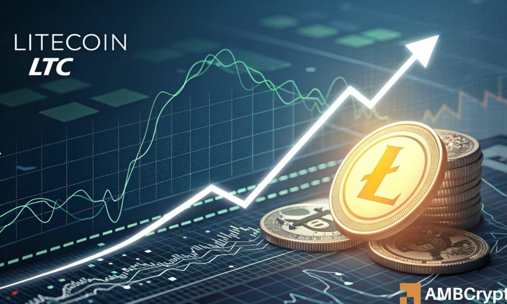 http://img.528btc.com.cn/pro/2025-05-02/img/1746184144765xx9ch8cb457h54864125846x26bh9706.jpg
