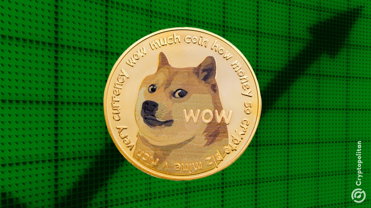 http://img.528btc.com.cn/pro/2025-05-02/img/17461855554260jx6b2c6198cxxjb374648c876759bj7.jpg