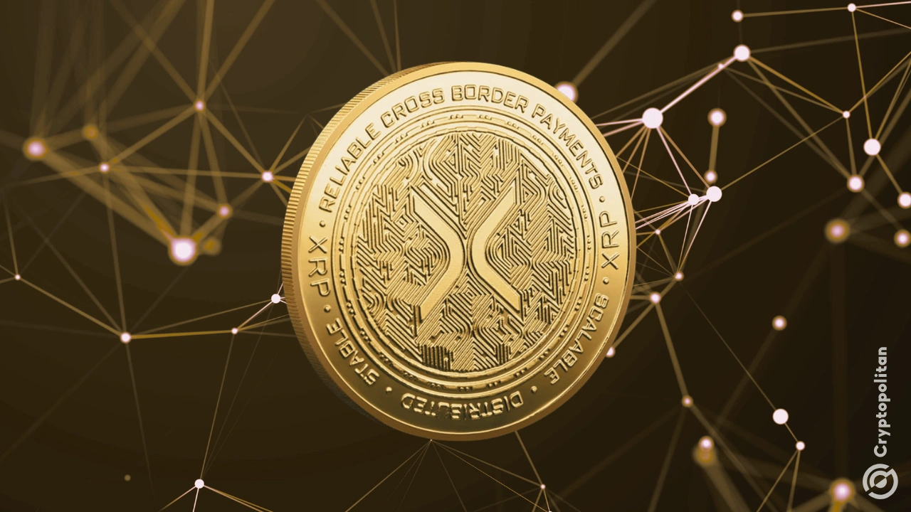 http://img.528btc.com.cn/pro/2025-05-02/img/174619636698551c44j75a14hcaa7450b5593bxbhhb54.jpg