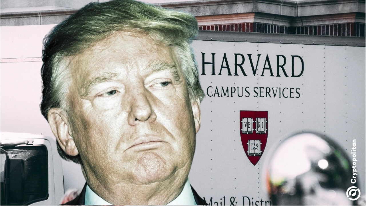 http://img.528btc.com.cn/pro/2025-05-03/img/1746203557768a8aa77x0c886h1173423119865072j42.jpg