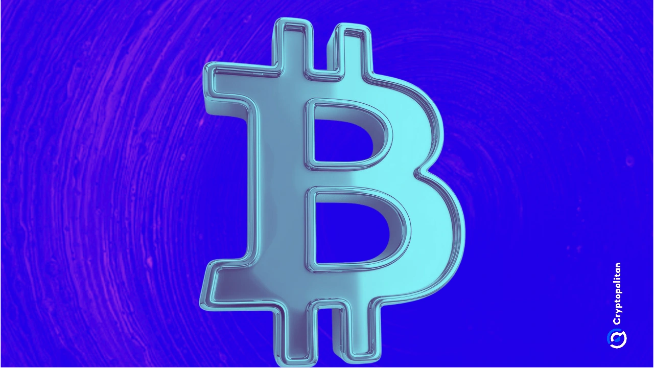 http://img.528btc.com.cn/pro/2025-05-03/img/1746214360872x3b572x95ja88h70bbxa6bx88a7196a5.jpg