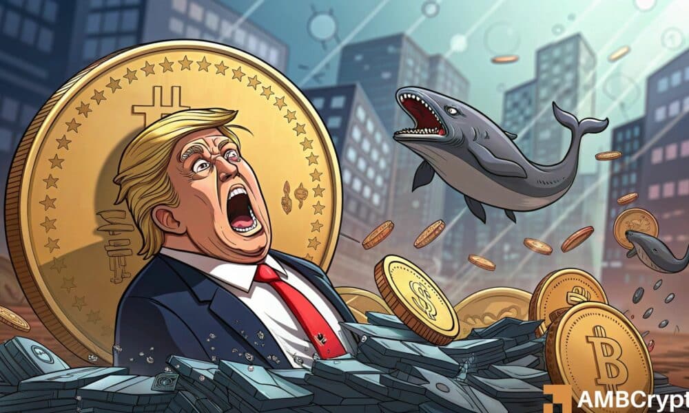 http://img.528btc.com.cn/pro/2025-05-03/img/1746234544696a8hj74x35hbh33b9616ha4850cb53hh8.jpg