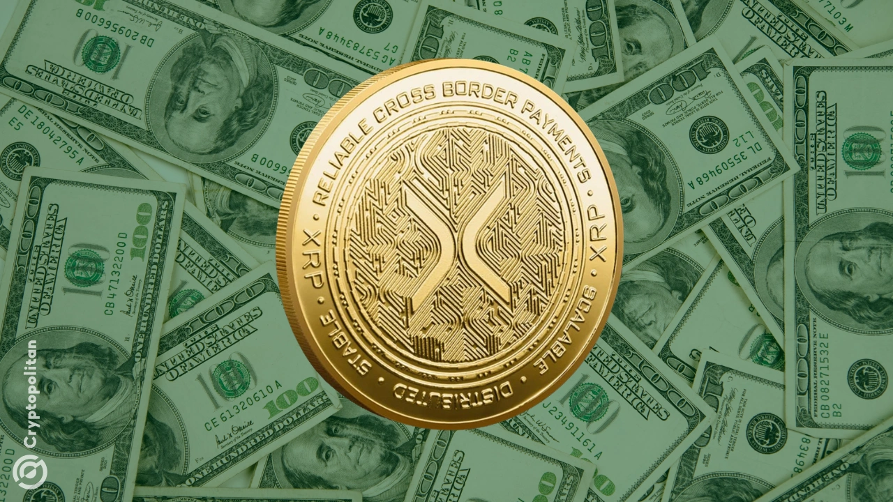 http://img.528btc.com.cn/pro/2025-05-03/img/174624675216519h2279998j044249ch30h90bhb0522j.jpg