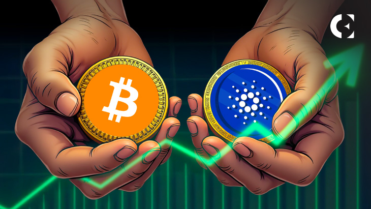 http://img.528btc.com.cn/pro/2025-05-06/img/1746518536225x33aj889516246b0b3b461hx28558c74.jpg