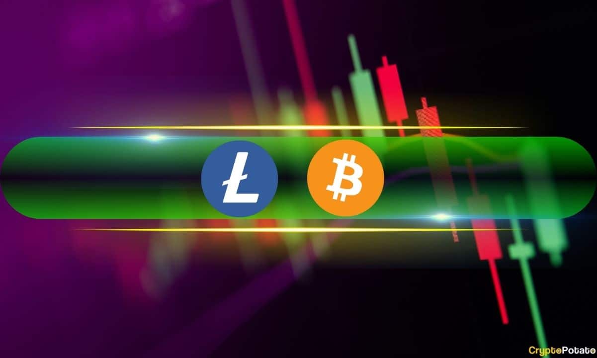 http://img.528btc.com.cn/pro/2025-05-06/img/17465242472284x596907bbh6b873h9x0h183b4017354.jpg