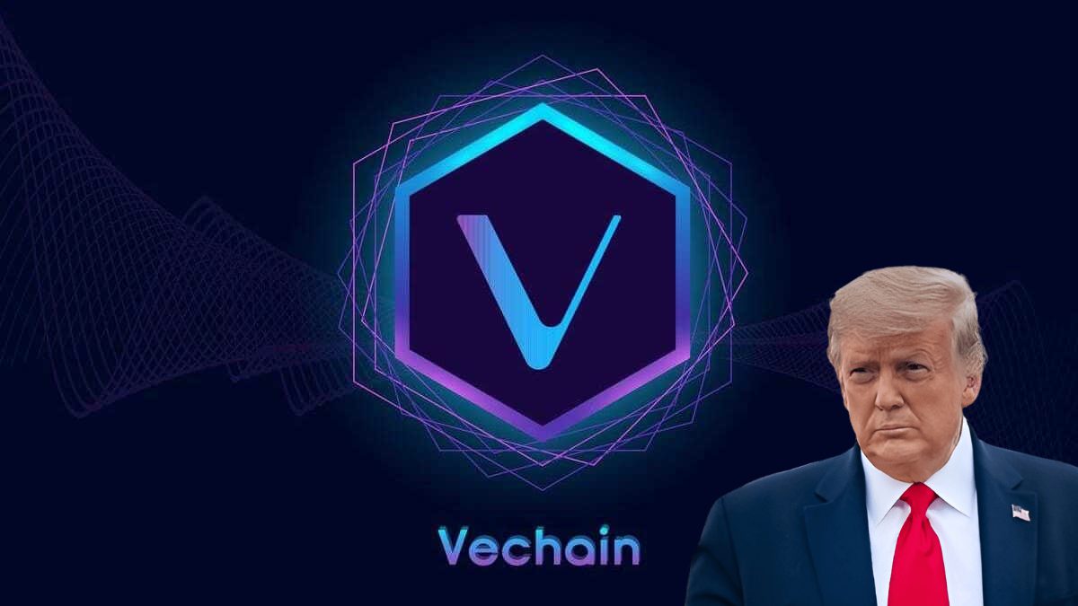 http://img.528btc.com.cn/pro/2025-05-06/img/1746530655271h6j50853a27a252804293j538ac43322.jpg