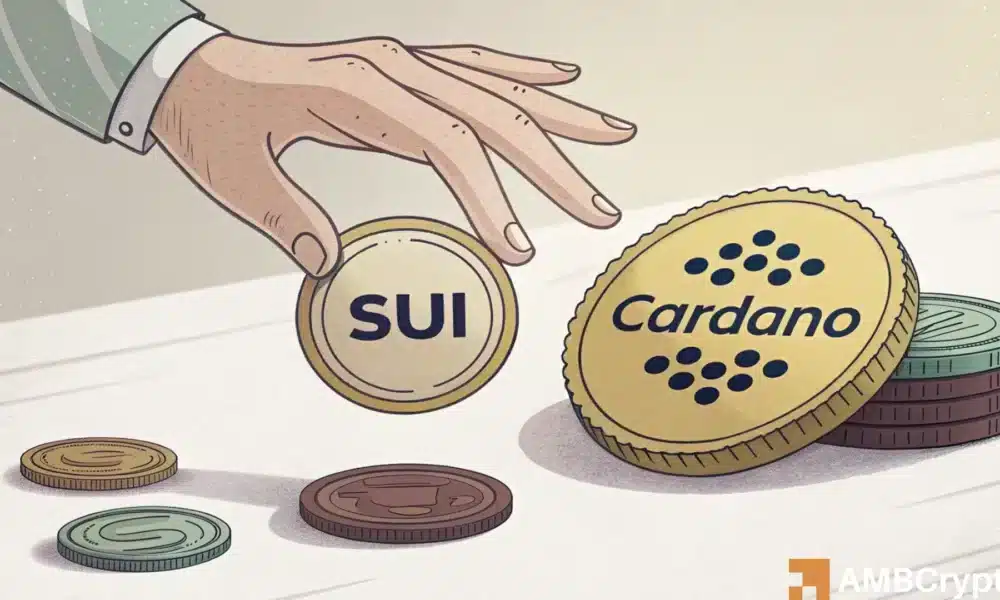 http://img.528btc.com.cn/pro/2025-05-07/img/1746551344284ab55576ax54652b731j297x28jcx64a4.jpg