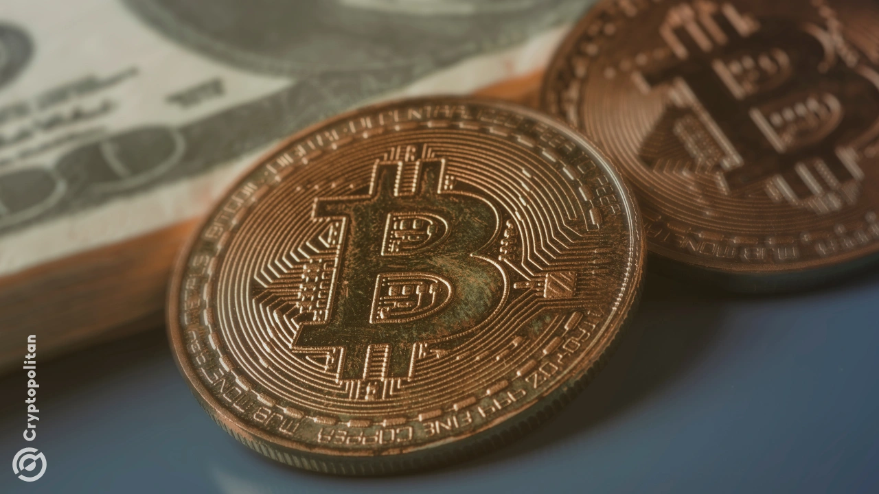 http://img.528btc.com.cn/pro/2025-05-07/img/1746624757788a4125634334b519aah6a03c200b1hc0a.jpg
