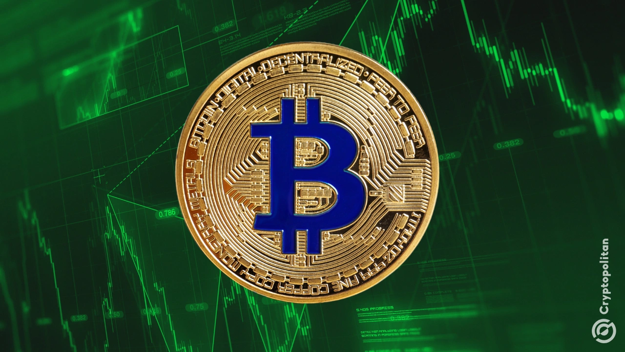 http://img.528btc.com.cn/pro/2025-05-08/img/17466931552761hcx6226239x1cxxhx77a0h9896207h3.jpg