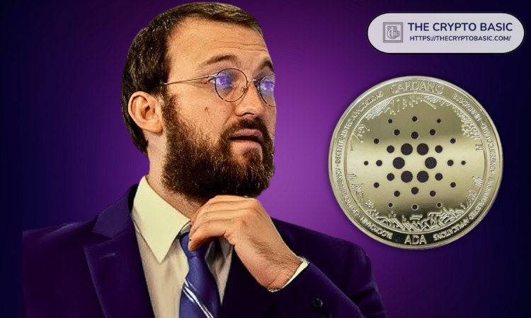 http://img.528btc.com.cn/pro/2025-05-08/img/1746697465766h36558x363402jc0b79a384jj4315631.jpg