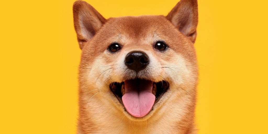 http://img.528btc.com.cn/pro/2025-05-09/img/1746735823477296953aj8x33b4h1h3b25b587bb5haxa.jpg