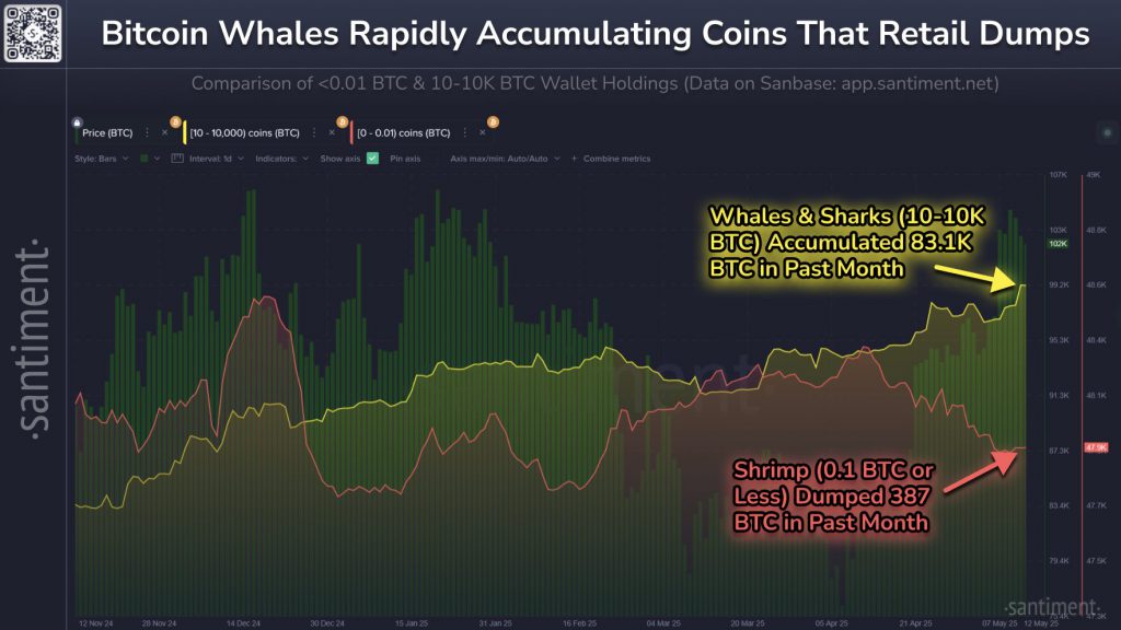 bitcoin investors