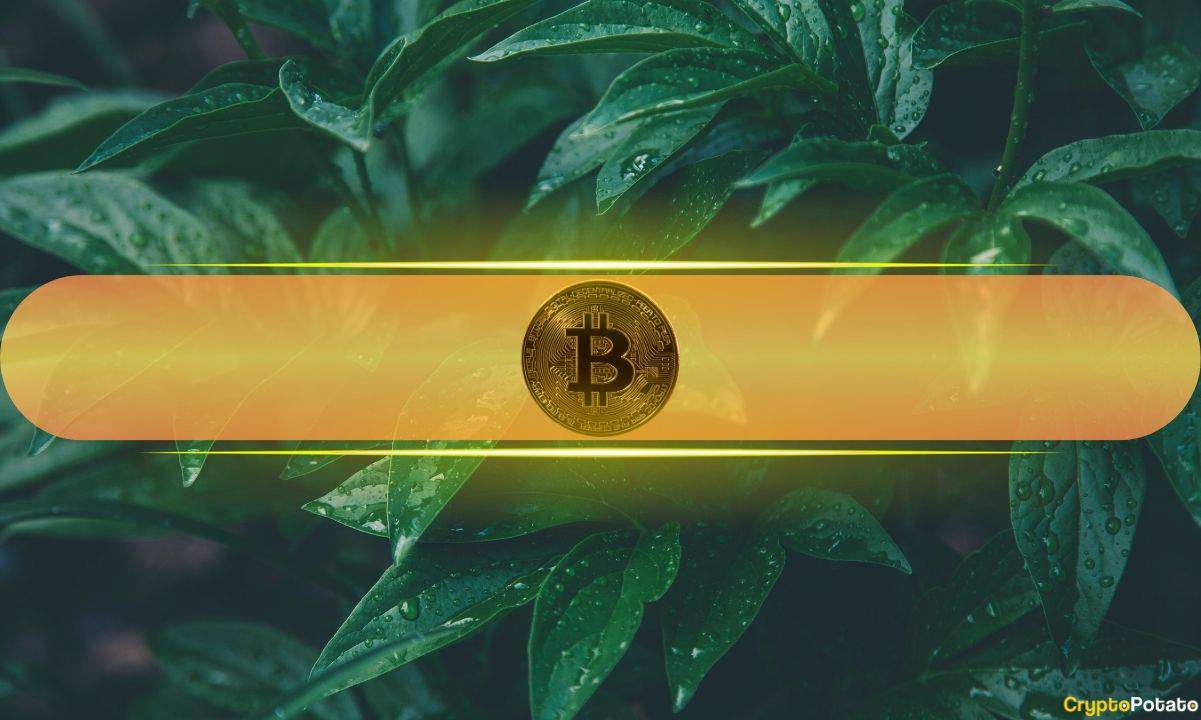 http://img.528btc.com.cn/pro/2025-05-26/img/1748237846489c57a7922bcb90c21xb155x68b09jh5h9.jpg
