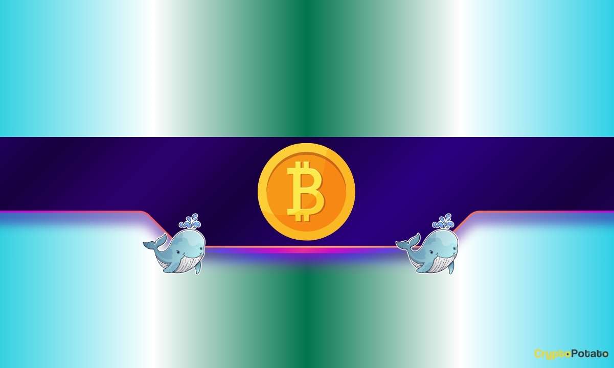 http://img.528btc.com.cn/pro/2025-06-04/img/174903704775969h6b57h50j37bjh4xc34jj4712492c3.jpg