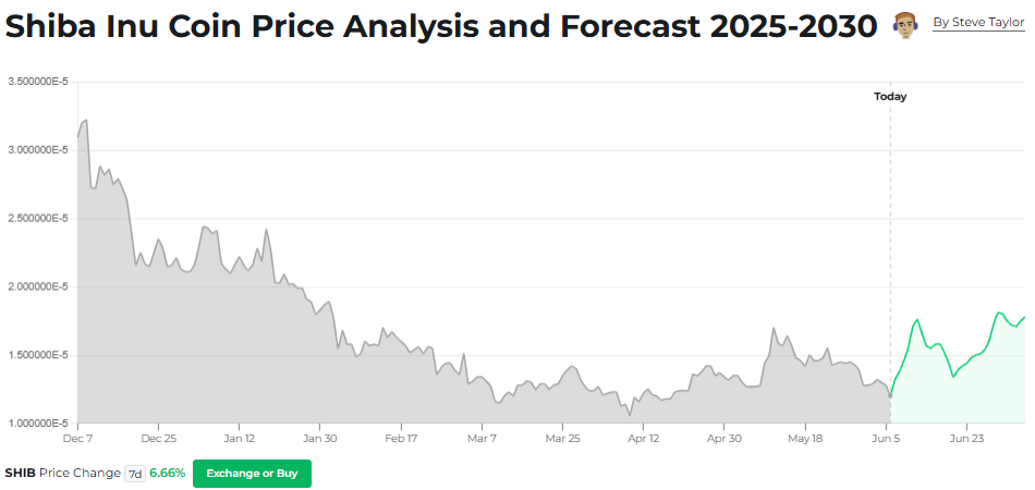 Shiba Inu Price Analysis Chart 2025-2030