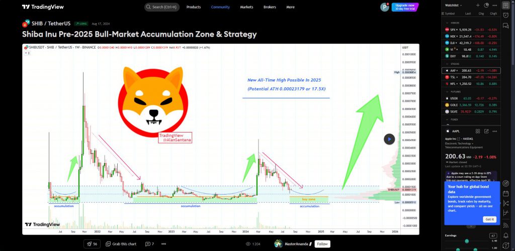 交易視圖 SHIB Bull Market Accumulation Analysis