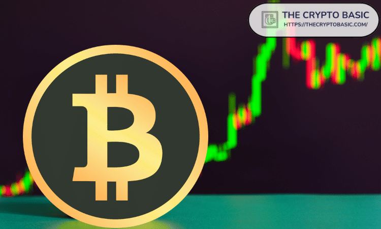 顶级分析师称真正的比特币行情即将开始