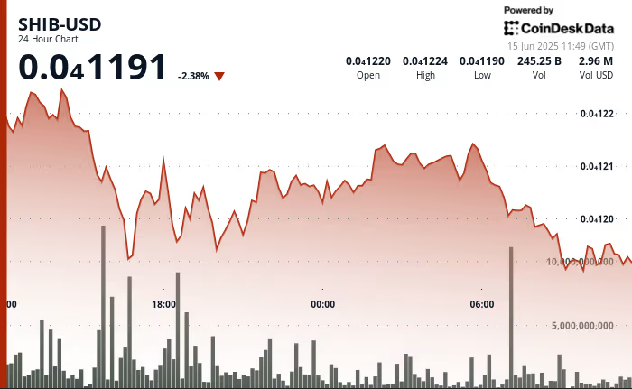SHIB Price Chart with Market Data
