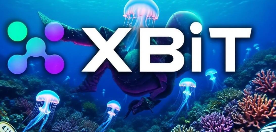 Solana浪潮之上：XBIT如何为下一代公链交易者赋能？