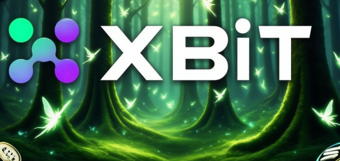 Meme币投资：XBIT如何将寻找下一个SHIB变为系统性狩猎