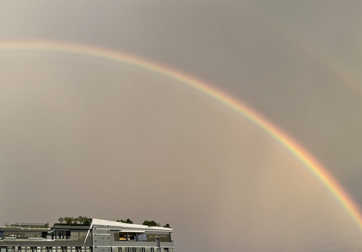 Meet the rainbow
Eat the rainbow
A strange phenomenon from the sky
The cows will come back quickly