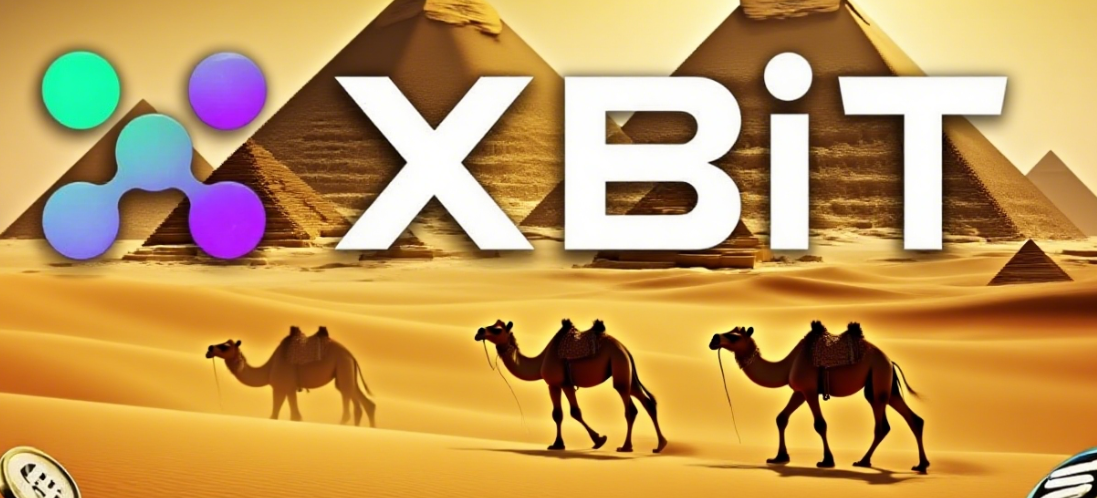 XBIT 交易所：重新定义去中心化交易的透明与高效