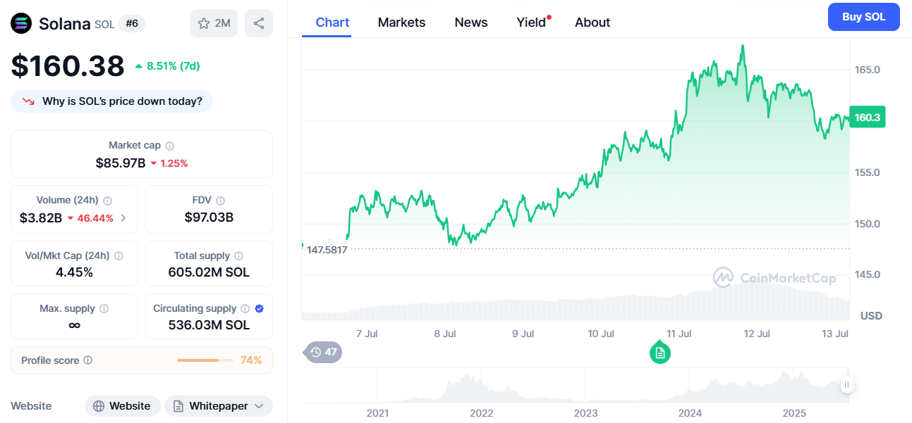 Solana's rally this week sparked a surge in memecoins