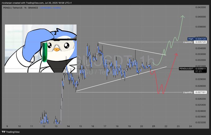 Binance removes trading safety nets for PEPE, PENGU, BONK meme coins