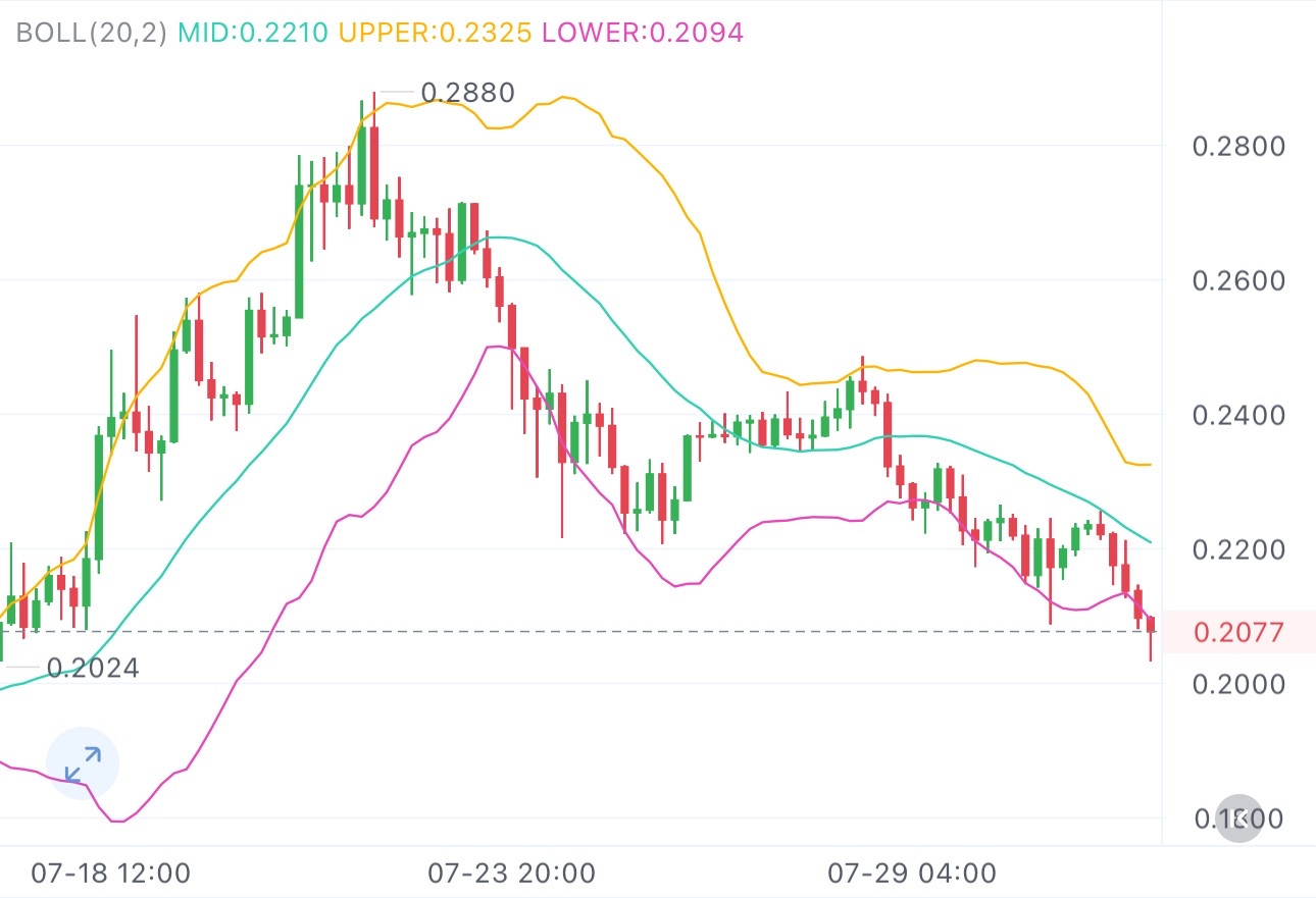 好久没和大家聊狗狗币了，最近它的动静可也不小，从0.28767一路跌到0.207，近30%的跌幅看着挺吓人，但里头或许藏着机会

对激进派来说，眼下不妨现价先建个底仓，要是能到0.19附近，正好补仓摊低成本。往上看，0.248是个不错的目标位，这波反弹动能值得搏一把，毕竟跌透了的品种，一旦起势往往有惊喜