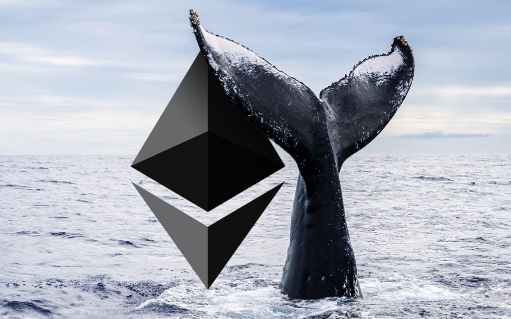 whales buying