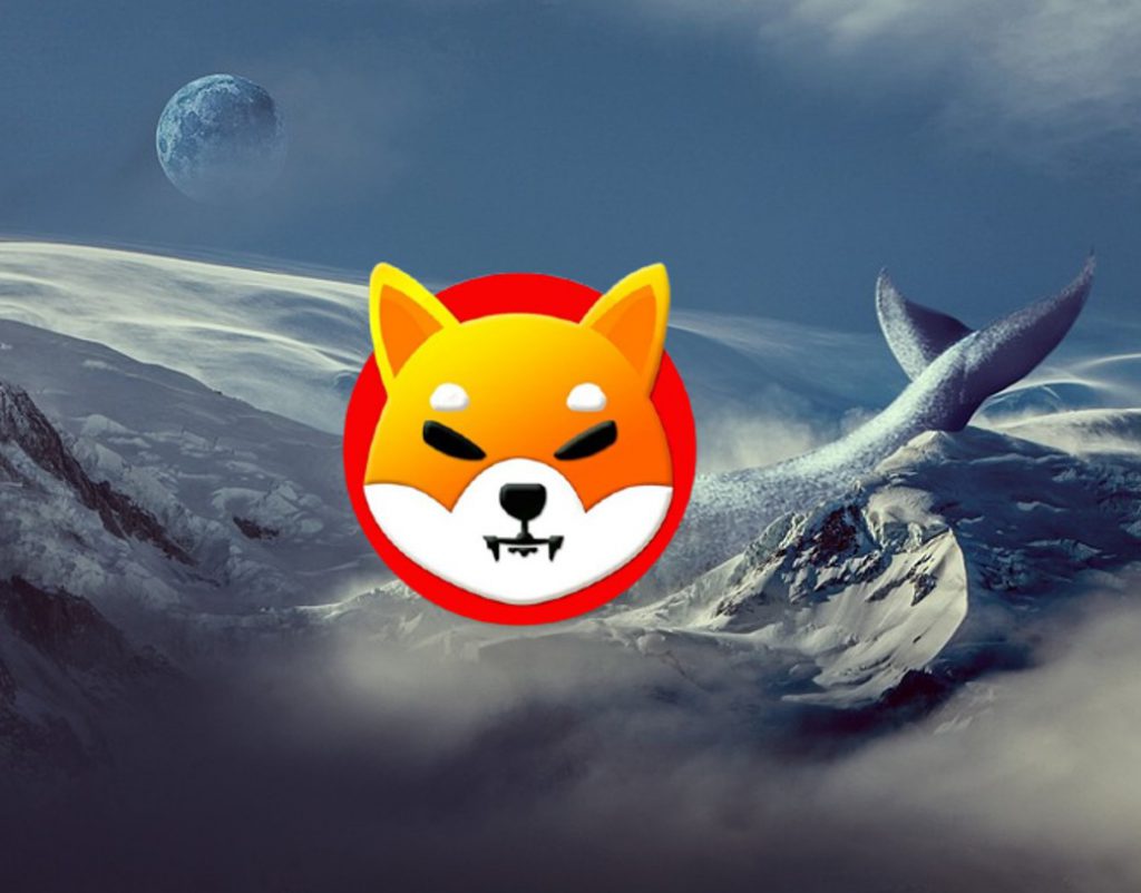 shiba inu whale