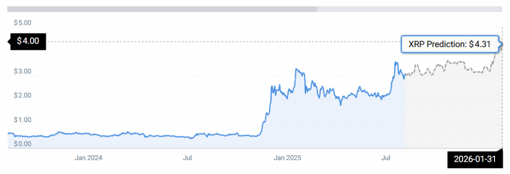 XRP STATS