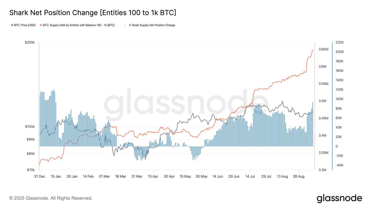 #Bitcoin "sharks" amassed 65,000 Bitcoins, worth $7.3 billion, in a week, reaching a new all-time high.

The latest data from blockchain analytics platform Glassnode shows that medium-sized Bitcoin investors have recently significantly increased their holdings.

The data shows that investors holding 100 to 1,000 Bitcoins, commonly referred to as "sharks," have added approximately 65,000 Bitcoins in the past seven days alone. At the current price of $113,595, their holdings over the past week are worth approximately $7.38 billion.

This buying spree brings their monthly net increase to 93,000 Bitcoins, one of the most aggressive buying trends this group has seen in recent times.

Following the recent increases, this group now holds a record 3.65 million Bitcoins. The total holdings of "sharks" account for approximately 18.32% of the current circulating supply of Bitcoin, 19.91 million.

While "shark wallets" are less influential than "institutional whales," their accumulation still has a significant impact on market dynamics. Their accumulation of Bitcoin reduces BTC's liquidity supply, exerting upward pressure on the leading asset as demand soars.

Furthermore, this development suggests confidence in BTC's short-term prospects. The surge in accumulation suggests that these medium-sized holders may be positioning themselves for a potential rise in BTC's price.