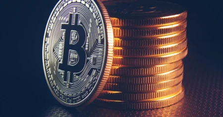 Bitcoin whales amass 202,000 BTC as retail investors sell off