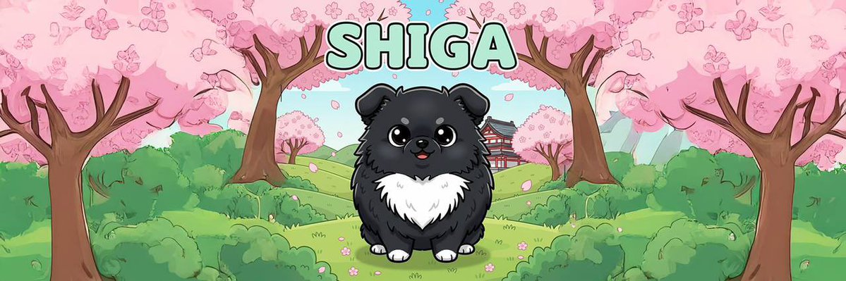 $SHIGA SOL 🪙🪙

PUMPFUN. Awesome brand/ticker. Watch for entries. Enter at your own risk. DYOR NFA ⚠️ First PF Edition SHIGA

Breaking News: Japan's #1 Hottest Dog, @noah_kutsushita's Amazing Dog, has been fully tokenized!

Say hello to $Shiga, the one that's melting hearts across Japan and now taking over the Solana blockchain. Perhaps it's the next $Shiba?

3qXiNjR11PWCwGEdXKpgqaLHgace2qHbt7dj2Y2vpump

https://t.co/dsnVEAqxGf

Background: