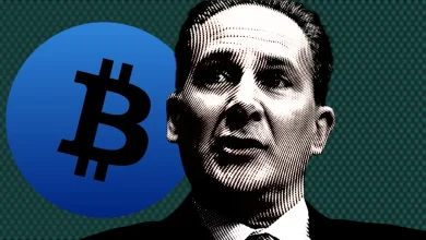 彼得·希夫表示:“比特币将在美联储降息前达到顶峰” 彼得·希夫表示:“比特币将在美联储降息前达到顶峰”