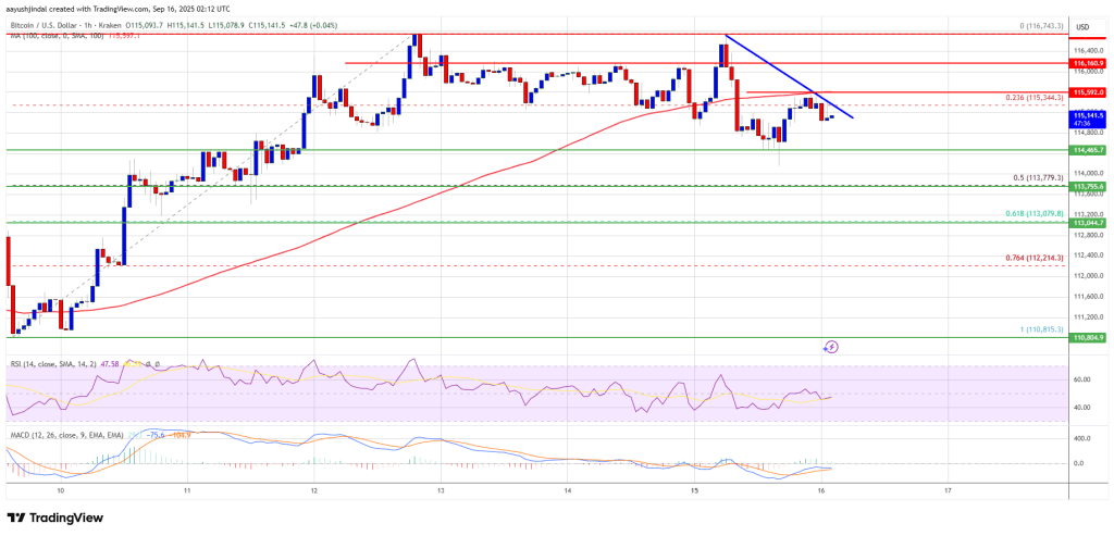 比特币熊市警报——价格可能很快跌至 11.2 万美元 比特币熊市警报——价格可能很快跌至 11.2 万美元