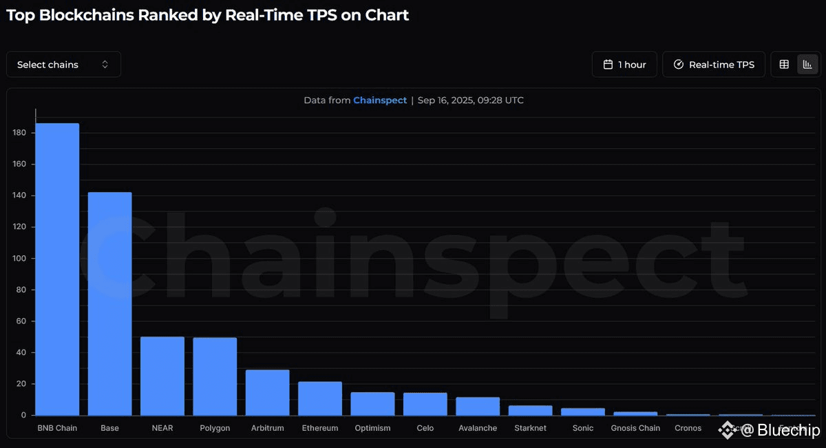 BNB Chain leads all EVM chains with the highest TPS!

Scalability is just the beginning; the future of the BNB Chain is bright.

Keep building 💛
#BNBBreaksATH
