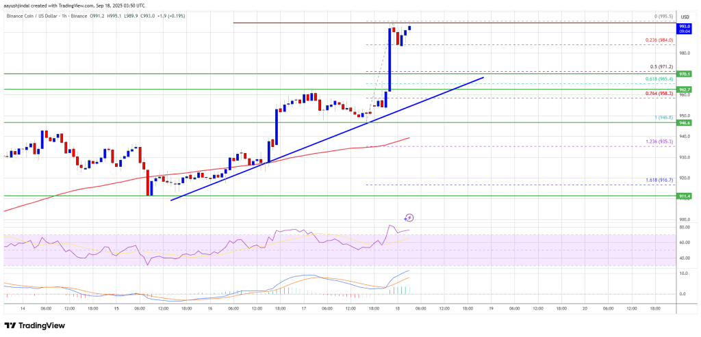 BNB 价格上涨至 1,000 美元附近 – 多头能否进一步上涨？
