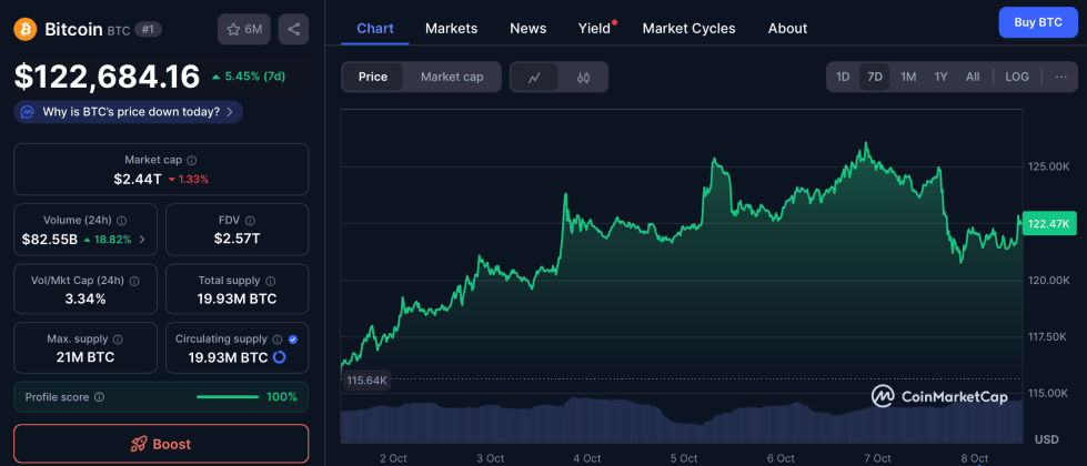 Cenový vývoj bitcoinu.
