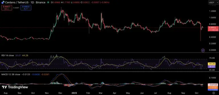 XRP 和 Cardano 从低点反弹——分析师预计年底前上涨 60%